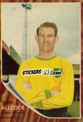 Figurina Terry Allcock - Footballers 1963-1964
 n. 29 - A&BC
