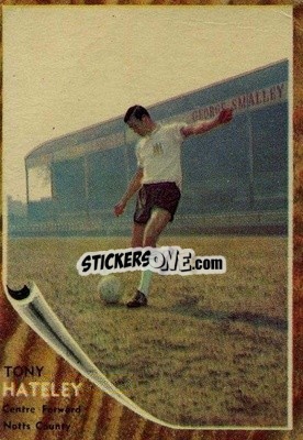 Sticker Tony Hateley - Footballers 1963-1964
 - A&BC
