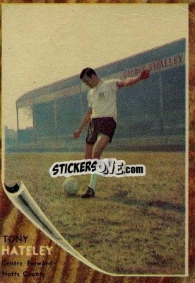 Sticker Tony Hateley - Footballers 1963-1964
 n. 16 - A&BC