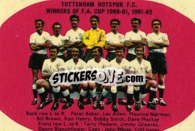 Figurina Tottenham Hotspur FC