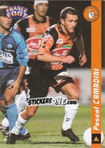 Sticker Pascal Camadini - France Foot 1998-1999 - Ds