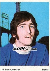 Sticker David Johnson - Soccer Parade 1972-1973
 - Americana