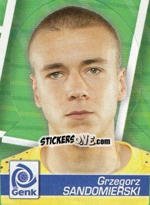 Cromo Grzegorz Sandomierski - FOOT Belgium 2011-2012 - Panini