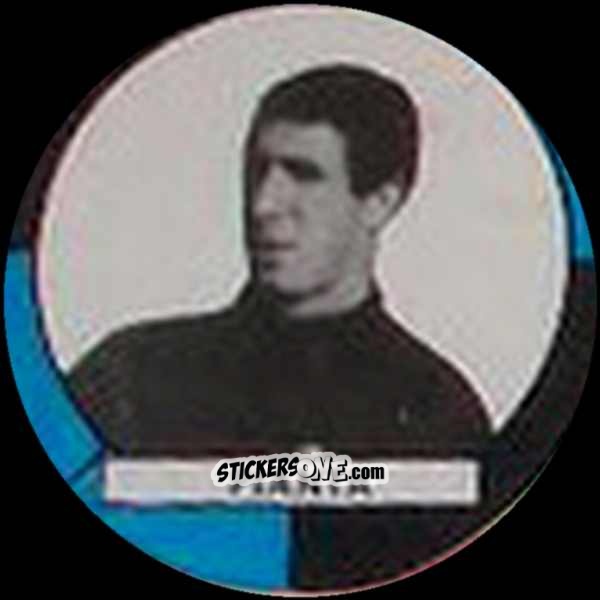 Sticker Pianta