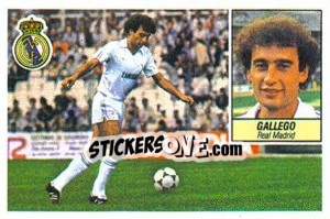 Sticker Gallego - Liga Spagnola 1984-1985
 - Colecciones ESTE