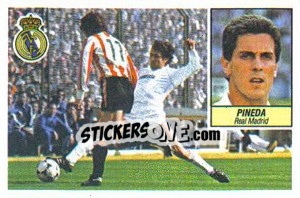 Cromo Pineda - Liga Spagnola 1984-1985
 - Colecciones ESTE