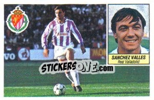 Sticker Sánchez Vallés - Liga Spagnola 1984-1985
 n. 328 - Colecciones ESTE