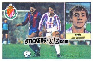 Cromo Peña (coloca) - Liga Spagnola 1984-1985
 - Colecciones ESTE