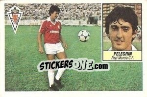 Sticker Pelegrín - Liga Spagnola 1984-1985
 - Colecciones ESTE