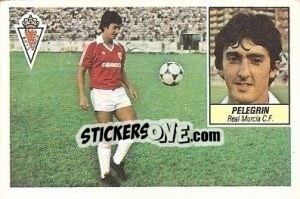 Sticker Pelegrín - Liga Spagnola 1984-1985
 n. 209 - Colecciones ESTE