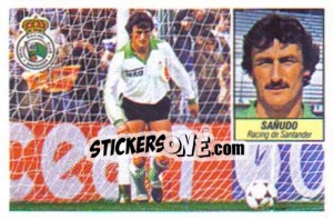 Cromo Sañudo - Liga Spagnola 1984-1985
 - Colecciones ESTE