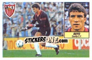 Sticker Buyo (1 jugador) - Liga Spagnola 1984-1985
 n. 268 - Colecciones ESTE