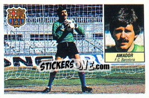 Sticker Amador - Liga Spagnola 1984-1985
 - Colecciones ESTE