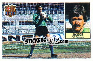 Sticker Amador - Liga Spagnola 1984-1985
 n. 3 - Colecciones ESTE