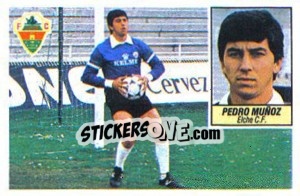 Sticker Pedro Muñoz (coloca) - Liga Spagnola 1984-1985
 - Colecciones ESTE