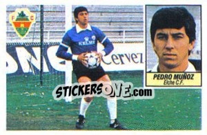 Figurina Pedro Muñoz (coloca) - Liga Spagnola 1984-1985
 - Colecciones ESTE