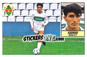 Cromo Asensio (coloca) - Liga Spagnola 1984-1985
 - Colecciones ESTE