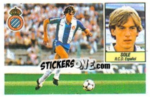Sticker Soler - Liga Spagnola 1984-1985
 - Colecciones ESTE