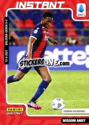 Sticker Wisdom Amey