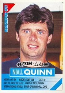 Figurina Niall Quinn - SuperPlayers 1996 - Panini