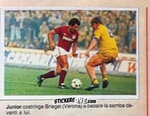 Cromo Junior / Briegel - Calciostadio 1984-1985
 n. 132 - Edis