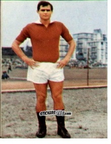 Cromo Figurina 14 - Campionato di Calcio 1967-1968
 n. TOR14 - PERSICO
