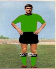 Figurina Figurina 15 - Campionato di Calcio 1967-1968
 n. VEN15 - PERSICO
