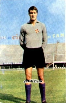 Cromo Enrico Albertosi - Campionato di Calcio 1967-1968
 n. FIO2 - PERSICO
