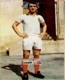 Cromo Faustino Goffi - Campionato di Calcio 1967-1968
 n. PAD12 - PERSICO
