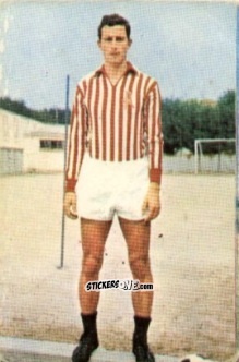 Cromo Paolo Calosi - Campionato di Calcio 1967-1968
 n. LRV5 - PERSICO
