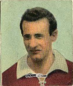 Sticker Antoniotti - Foot-ball-mou 1955-1956
 n. 183 - ELAH