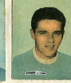 Sticker De Giovanni - Foot-ball-mou 1955-1956
 n. 115 - ELAH