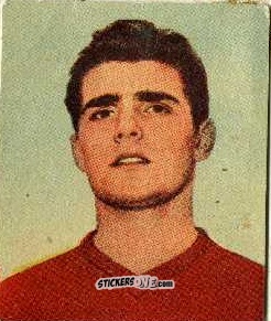 Figurina Fontana - Foot-ball-mou 1955-1956
 n. 191 - ELAH