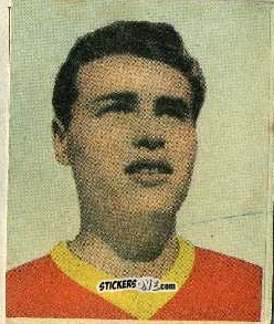 Sticker Giuliano - Foot-ball-mou 1955-1956
 n. 147 - ELAH