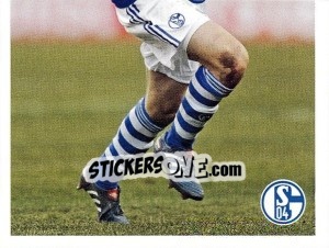 Cromo Sergio Escudero - Fc Schalke 04. 2011-2012 - Panini