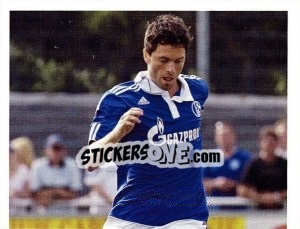 Cromo Tim Hoogland - Fc Schalke 04. 2011-2012 - Panini