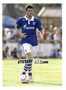 Sticker Tim Hoogland - Fc Schalke 04. 2011-2012 n. 52 - Panini
