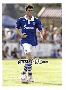 Sticker Tim Hoogland - Fc Schalke 04. 2011-2012 - Panini