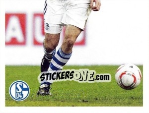 Sticker Christoph Metzelder - Fc Schalke 04. 2011-2012 - Panini