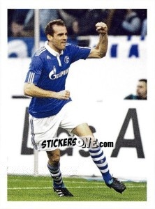 Sticker Christoph Metzelder - Fc Schalke 04. 2011-2012 - Panini