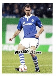 Sticker Christoph Metzelder - Fc Schalke 04. 2011-2012 - Panini