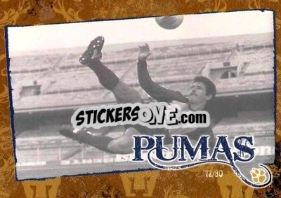 Figurina Pumas History