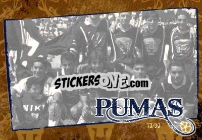 Sticker Pumas History