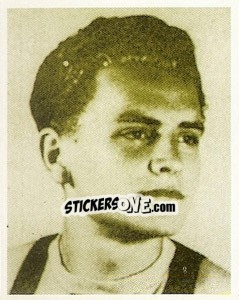 Sticker Una storica, 