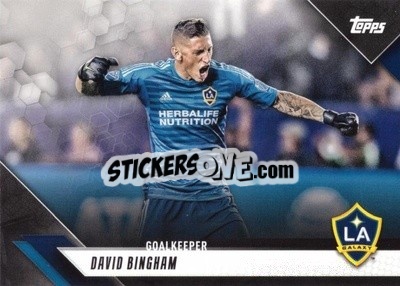 Sticker David Bingham - MLS 2019
 - Topps