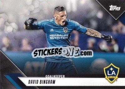 Sticker David Bingham