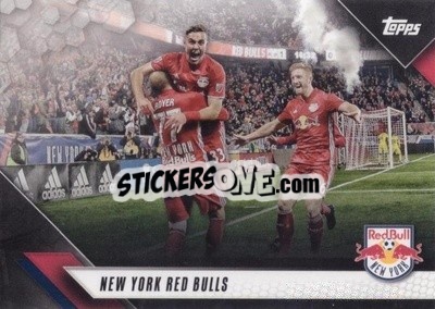 Cromo New York Red Bulls