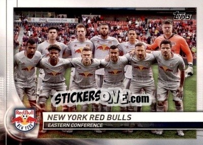 Sticker New York Red Bulls