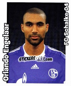 Sticker Orlando Engelaar - German Football Bundesliga 2008-2009 - Panini