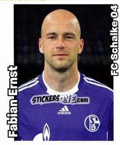 Sticker Fabian Ernst - German Football Bundesliga 2008-2009 - Panini